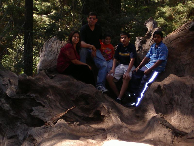 Picture 093.jpg